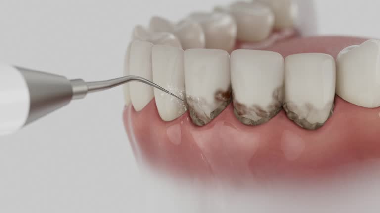 Reliable Dental contractor in Heflin, AL by Dentist Open Now